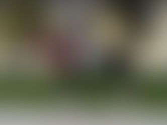 APÖ-Bundes- und Europachampionat 2017 - Stadl Paura 23.-24.09.2017