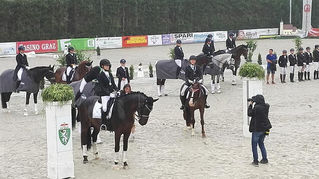 CDN-B Preding 26.-28.07.2019
Steirische LM ländliche Reiter Dressur