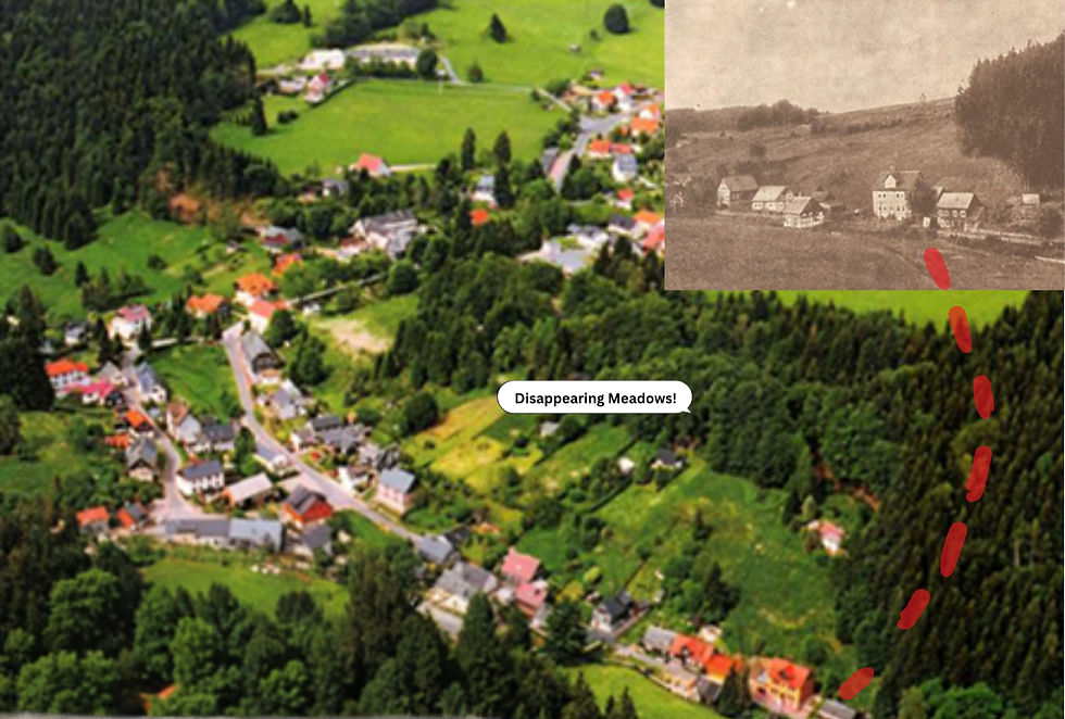 Wandel der Bergwiesen im Vessertal
