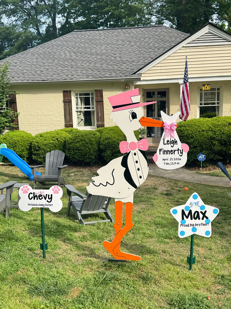 Welcoming Life’s Sweetest Moments 💙🩷