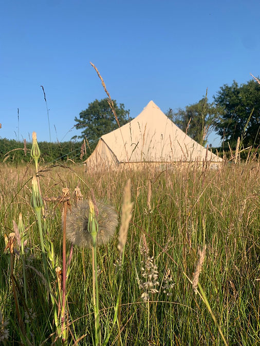 WhatsApp Image 2025-09-23 at 12.05.39.jpeg