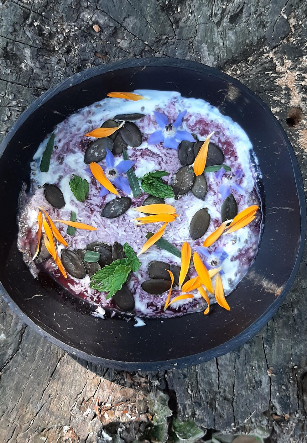 Plaisir d'été : myrtilles et fleurs