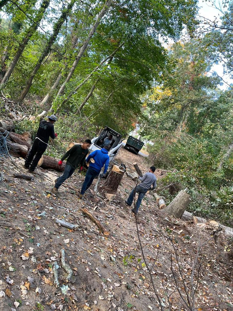 Guys Doing A Land Leveling