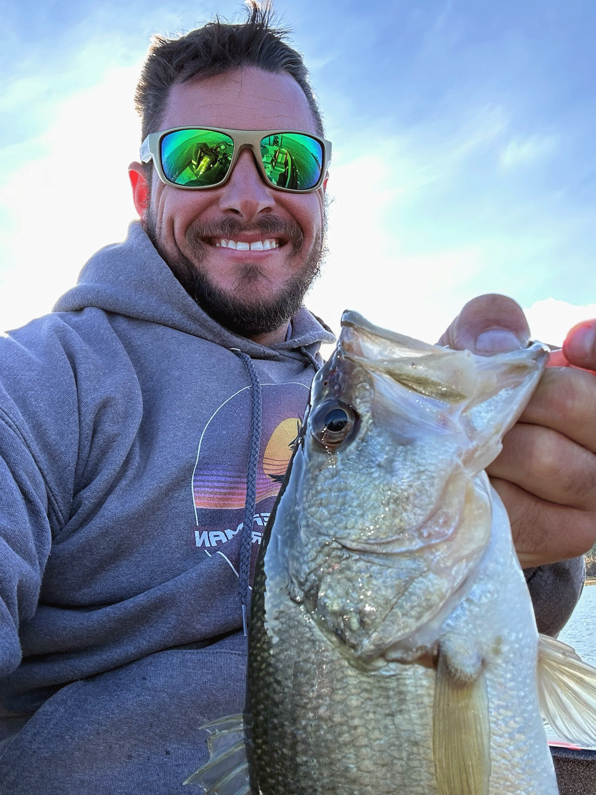 bass caught on gizzard shad spinnerbait