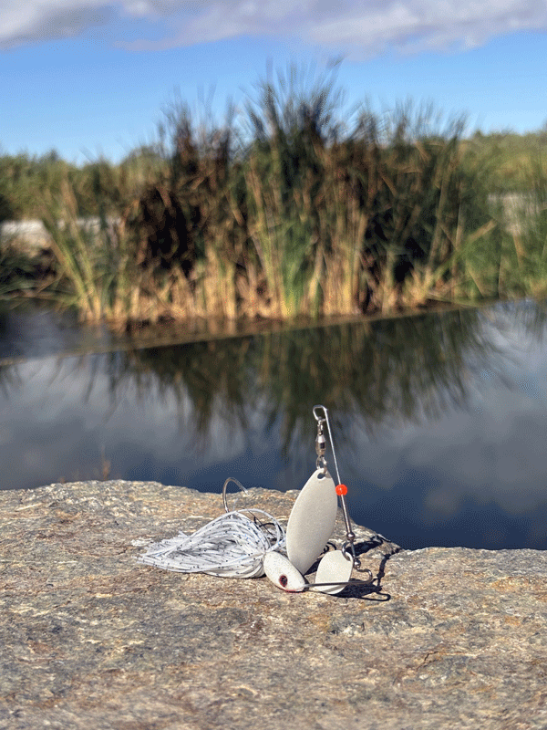 Ghost Shad