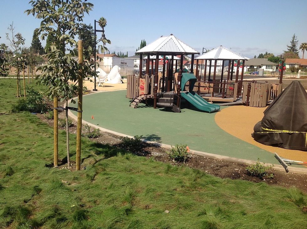 Play Area