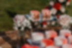 foto_1798.jpg