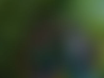 Camp WON: Where Inner-City Children Experience Nature's Magic