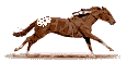 appaloosa galop.gif