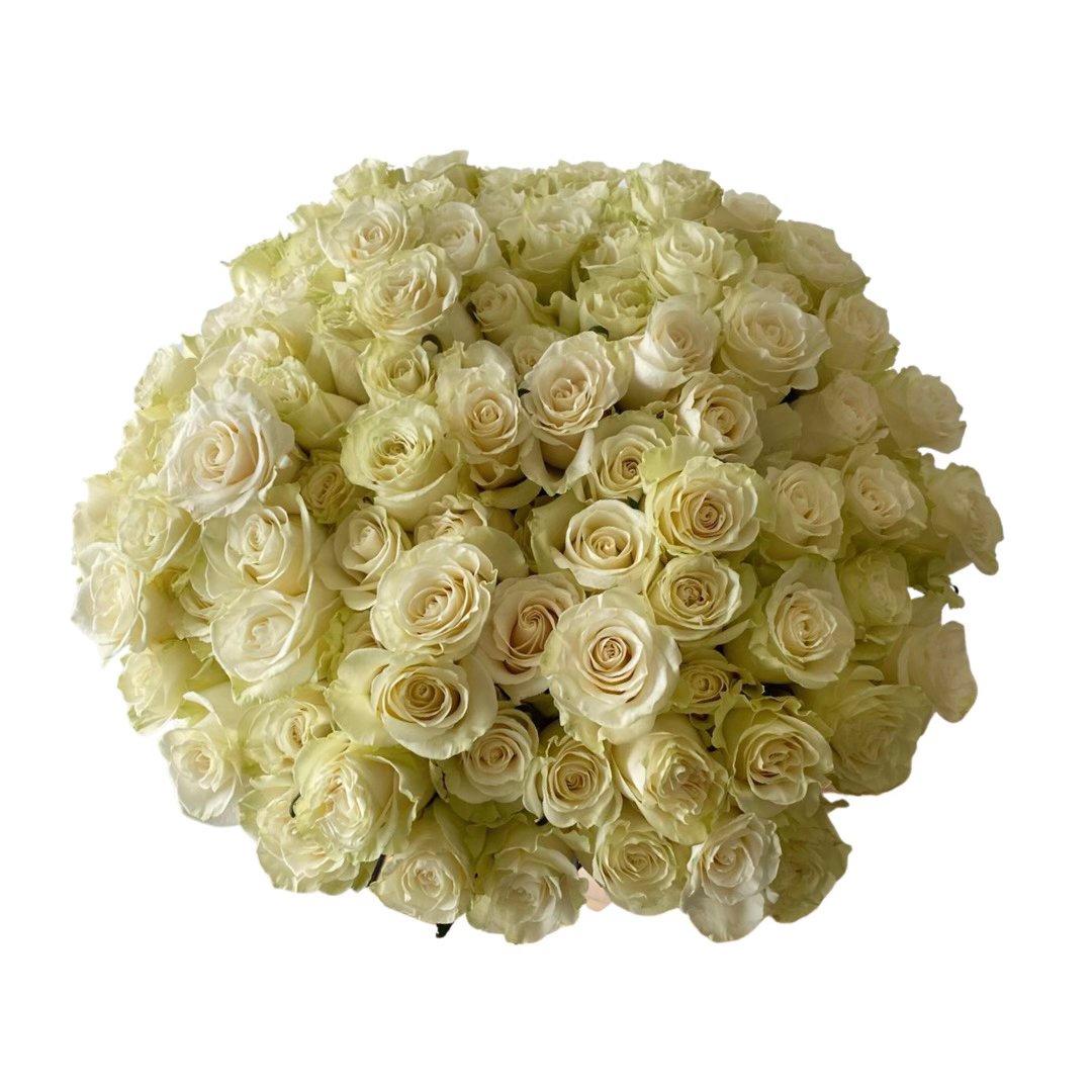 6 Dozen Luxe White Bouquet