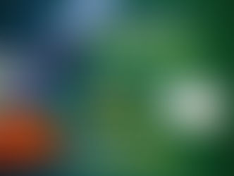 ലേഖനമത്സരം