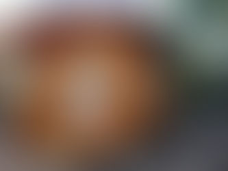 ミニログ【コスカA】完成しました!