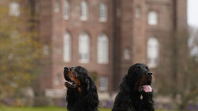 SCOTTISH GAME FAIR - SATURDAY 4 JULY 2026
