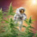 Astronaut testing cannabis  DNA.jpg