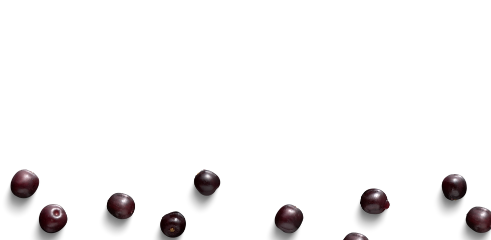 Isolated Elderberries