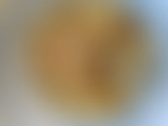 Reuben Pies Version 2.1