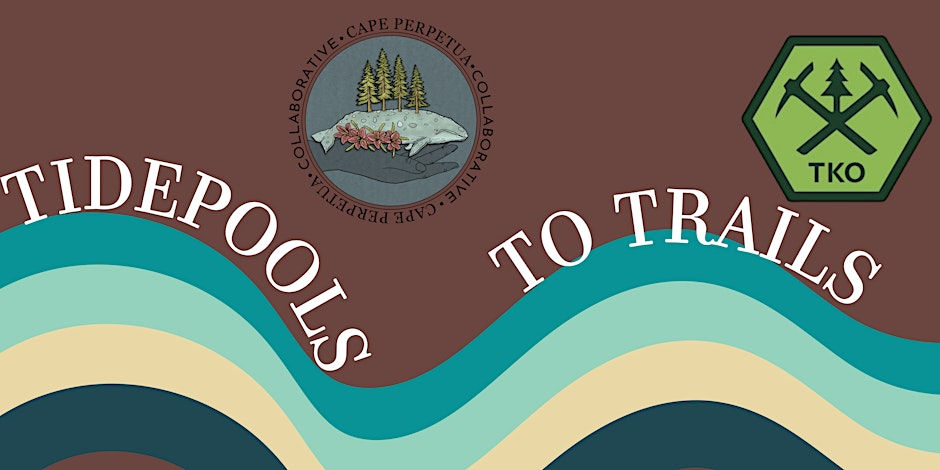 Tidepools to Trails: Yachats State Park