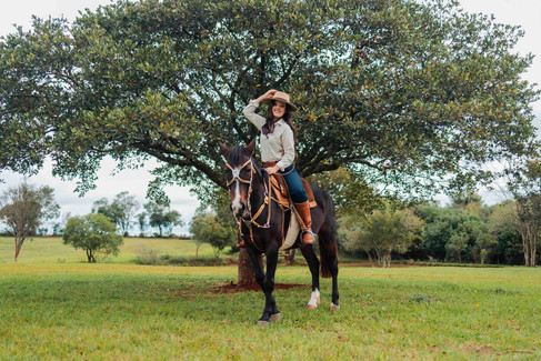 fotografia no campo com cavalo 