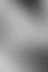 cerimonialista  cerimonialista de casamentos  noivas  vestido vestido de noiva  fotografo de casamento  convite de casamento  aliança de casamento