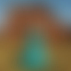 Vithória Lemos Lang