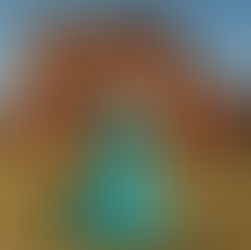 Vithória Lemos Lang