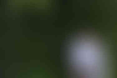 Caibaté Cerro Largo Dezesseis de Novembro Entre-Ijuís Eugênio de Castro Garruchos Giruá Guarani das Missões Mato Queimado Pirapó Porto Xavier Rolador Roque Gonzales Salvador das Missões Santo Ângelo Santo Antônio das Missões São Borja São Luiz Gonzaga São Miguel das Missões São Nicolau São Paulo das Missões São Pedro do Butiá Sete de Setembro Ubiretama Vitória das Missões