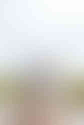 Caibaté Cerro Largo Dezesseis de Novembro Entre-Ijuís Eugênio de Castro Garruchos Giruá Guarani das Missões Mato Queimado Pirapó Porto Xavier Rolador Roque Gonzales Salvador das Missões Santo Ângelo Santo Antônio das Missões São Borja São Luiz Gonzaga São Miguel das Missões São Nicolau São Paulo das Missões São Pedro do Butiá Sete de Setembro Ubiretama Vitória das Missões