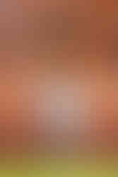 ensaio de casal pre wedding em são miguel das missoes