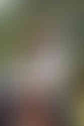 ensaio fotografico no campo com cavalo 