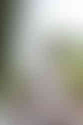 Caibaté Cerro Largo Dezesseis de Novembro Entre-Ijuís Eugênio de Castro Garruchos Giruá Guarani das Missões Mato Queimado Pirapó Porto Xavier Rolador Roque Gonzales Salvador das Missões Santo Ângelo Santo Antônio das Missões São Borja São Luiz Gonzaga São Miguel das Missões São Nicolau São Paulo das Missões São Pedro do Butiá Sete de Setembro Ubiretama Vitória das Missões