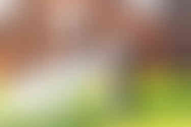 ensaio fotografico de Pré Weddig em São Miguel das Missoes 