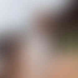 ensaio fotografico no campo com cavalo 