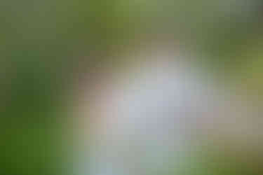 fotografa de pre wedding