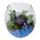 Miniatura: Terrário Silvermist