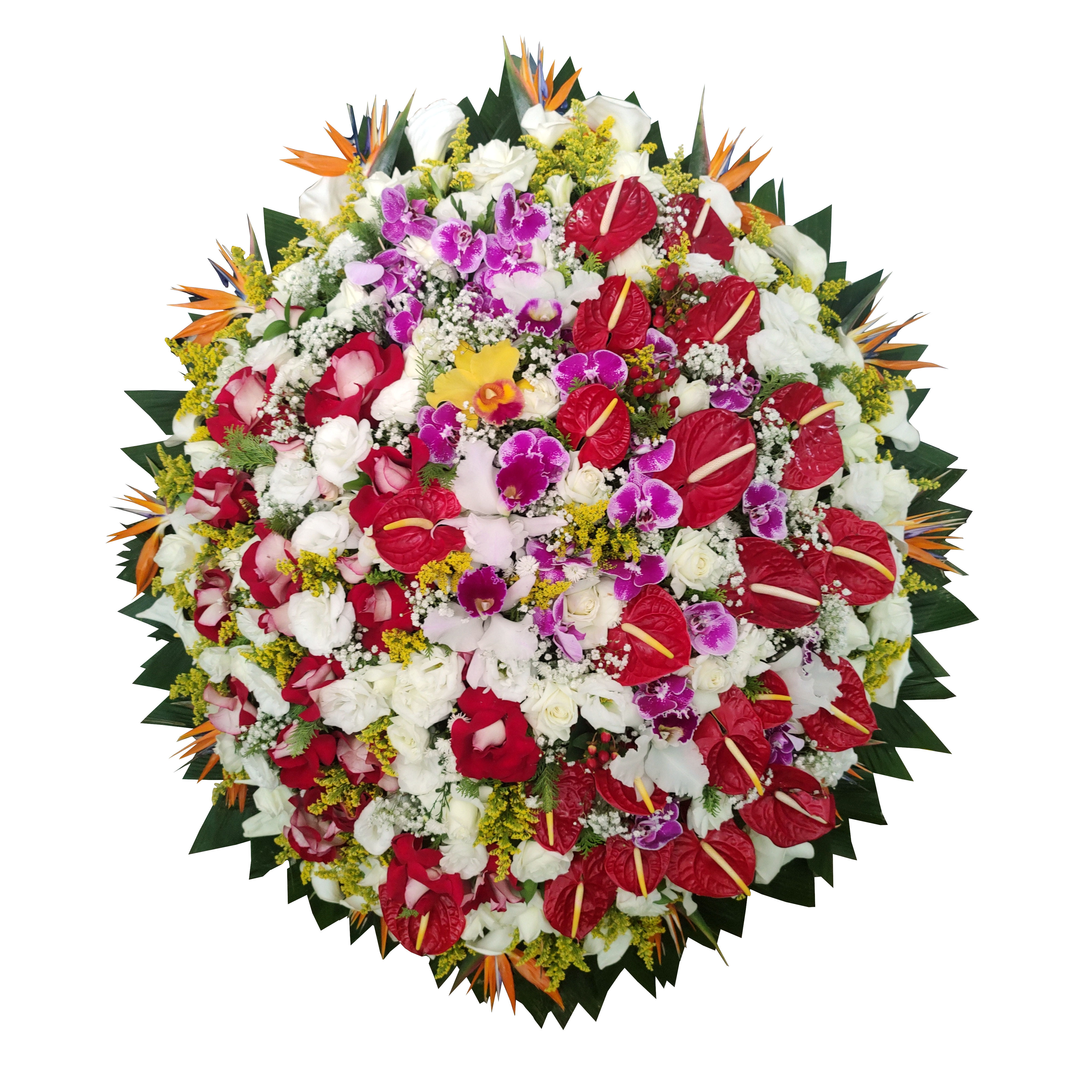 Coroa Luxo Especial Colorida