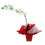 Miniatura: Orquídea Phalaenopsis com Cachepô