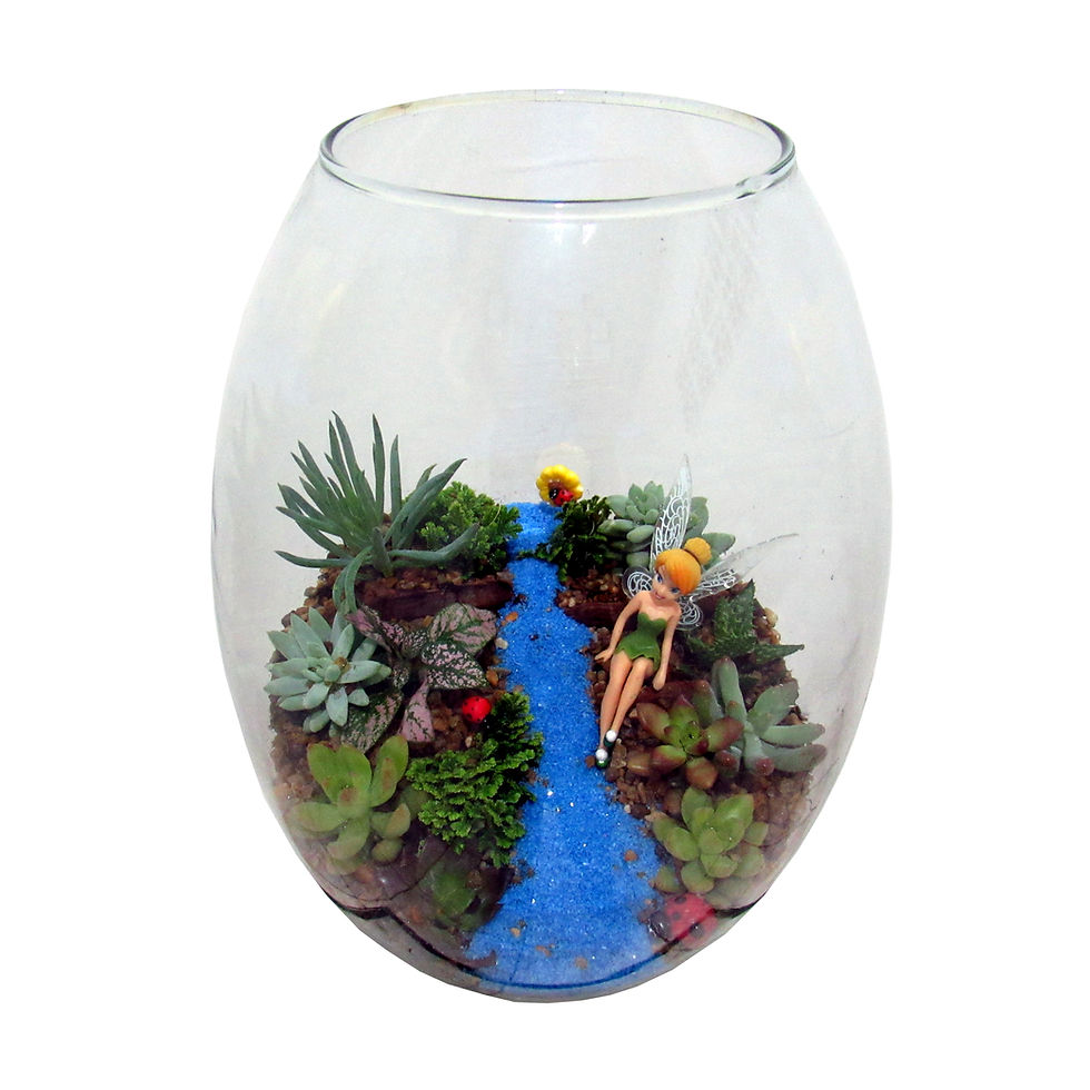 Miniatura: Terrário Sininho