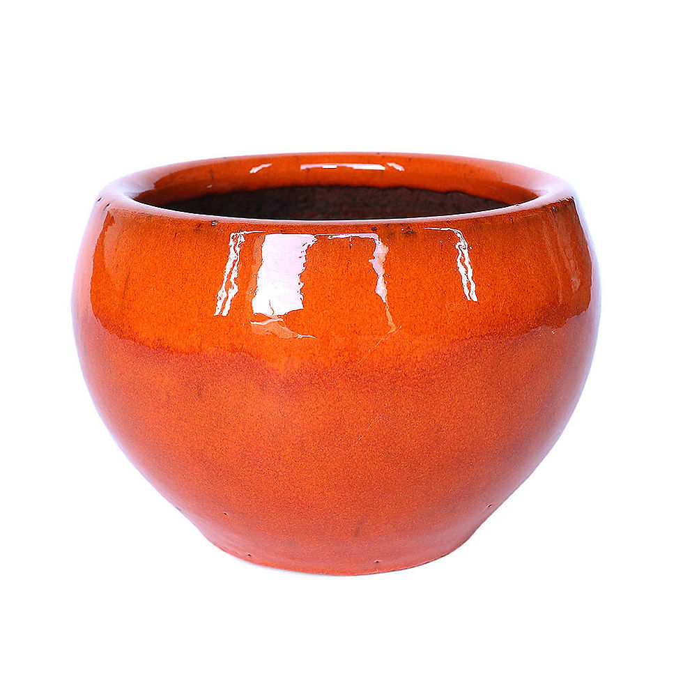 Miniatura: Vaso Esmaltado Coquinho