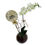 Miniatura: Orquídea phalaenopsis no vidro com balão