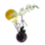 Miniatura: Orquídea phalaenopsis no vidro com balão