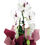 Miniatura: Orquídea Phalaenopsis Cascata com celofane