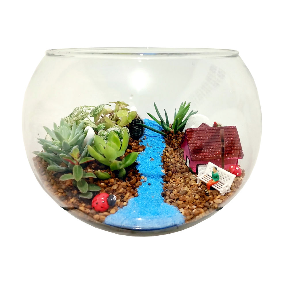 Miniatura: Terrário Casinha