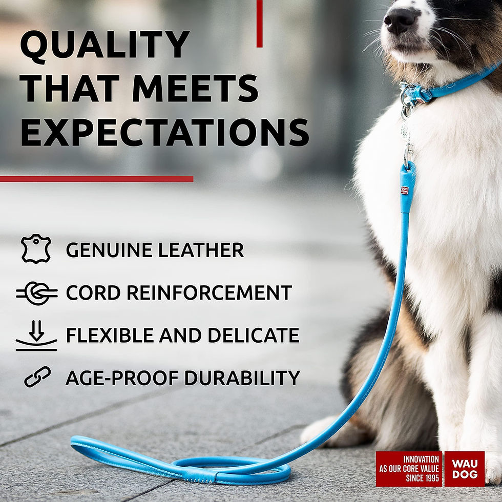 Miniatura: Blue Rolled Leather Dog Leash 6Ft x 0.5 in for Small Medium and Large Dogs