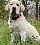 IMG_2106 (1).jpeg