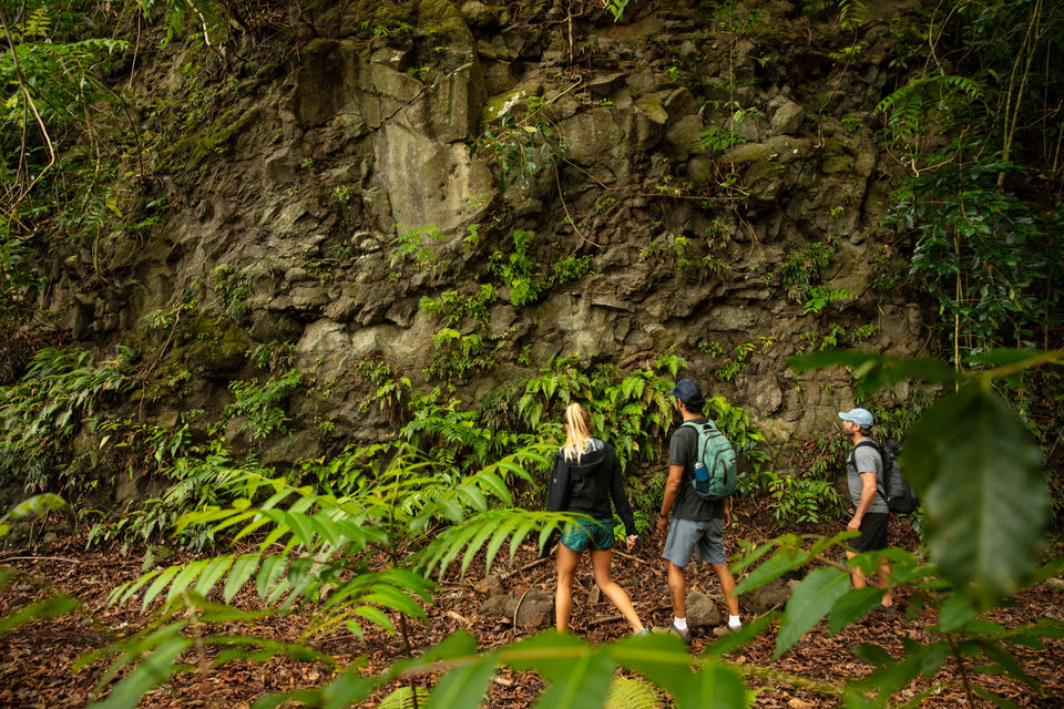 Kaukonahua Ranch nature hike