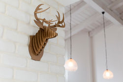 וילה בהרחבה