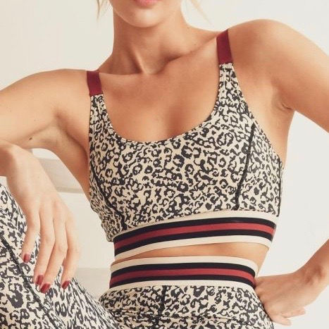 Thumbnail: Snow Leopard Set