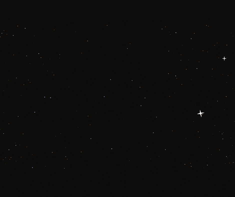 הצלחה עסקית 