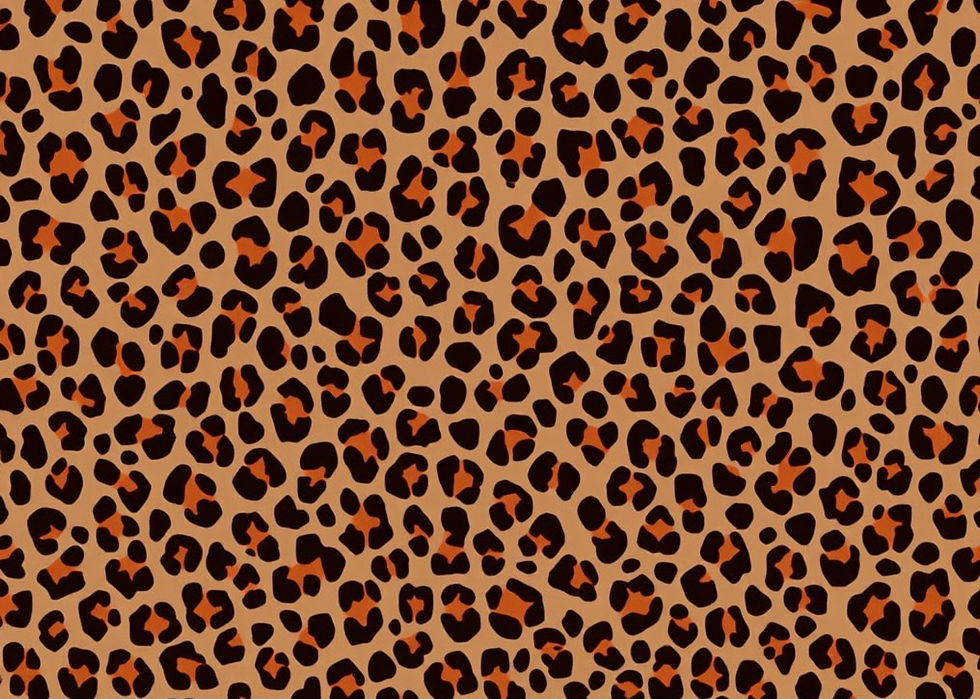 cheetah print wallpaper_edited.jpg
