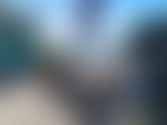 Katze liegt auf dem Tisch beim Sonnenbad